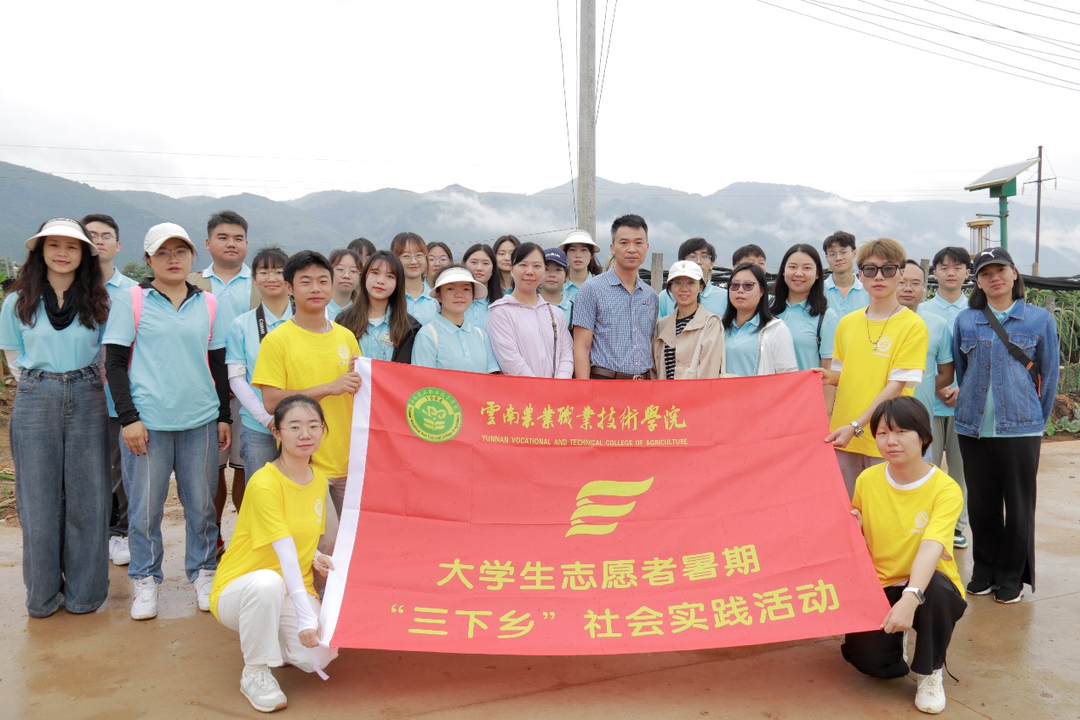 暑期“三下乡”社会实践活动